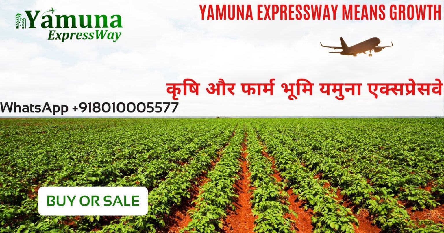 Home-1 4 Yamuna_ExpressWay_Plots_8010005577
